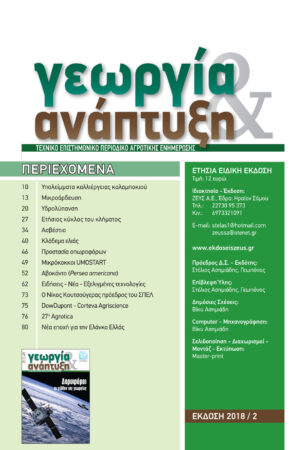 Georgia&Anaptyksh2-2018per