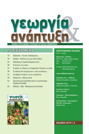 Georgia&Anaptyksh2-2019per