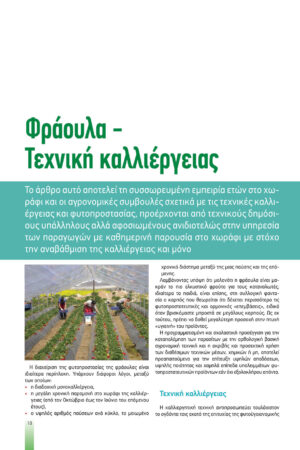 Georgia&Anaptyksh2-2019pr