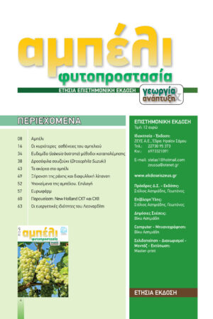 Georgia&Anaptyksh2-2020per