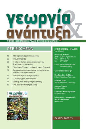 Georgia&Anaptyksh3-2020per