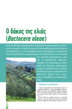 Georgia&Anaptyksh3-2020pr