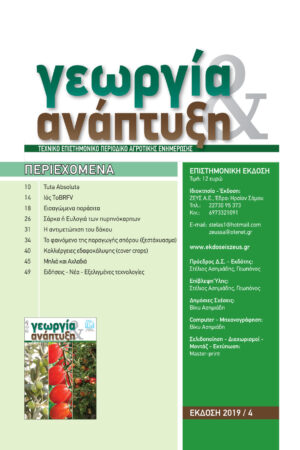 Georgia&Anaptyksh4-2019per