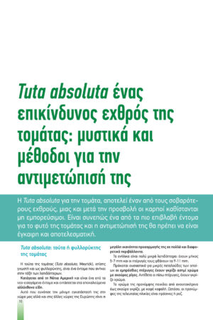 Georgia&Anaptyksh4-2019pr