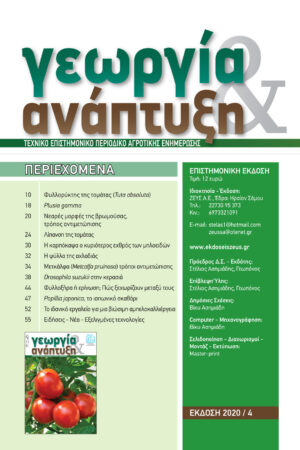 Georgia&Anaptyksh4-2020per