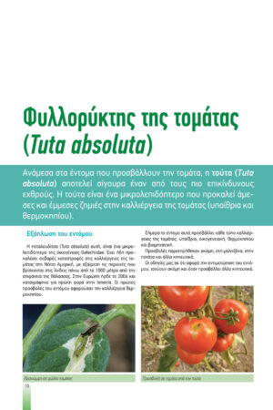 Georgia&Anaptyksh4-2020pr