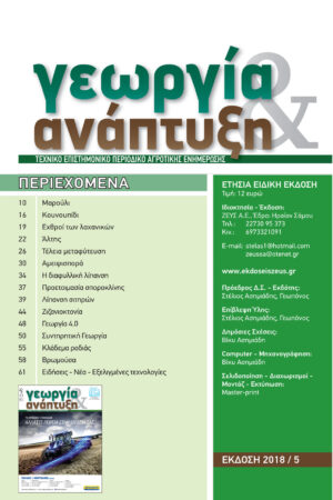 Georgia&Anaptyksh5-2018per