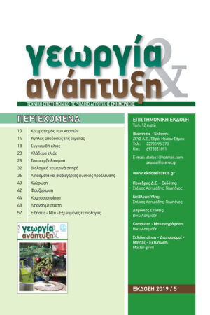 Georgia&Anaptyksh5-2019per