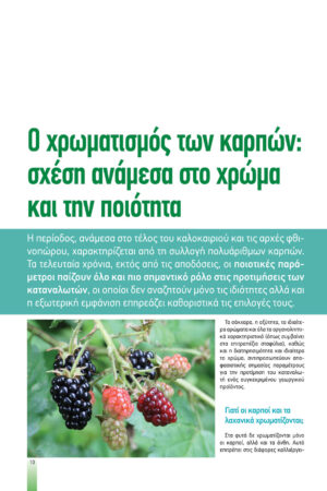 Georgia&Anaptyksh5-2019pr