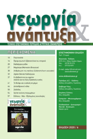 Georgia&Anaptyksh6-2020per