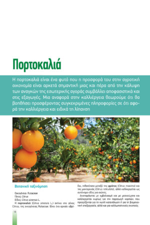 Georgia&Anaptyksh6-2020pr