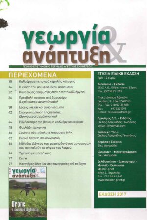 georgia&anaptyksh2017per