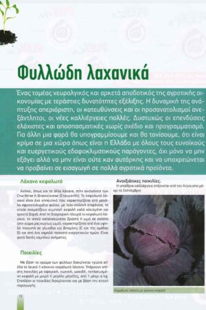 georgia&anaptyksh2017pr