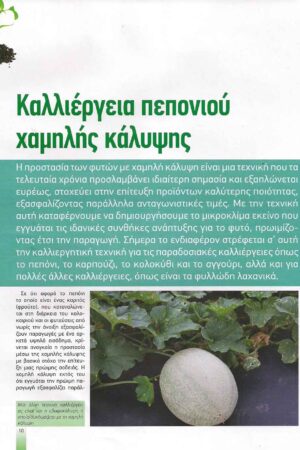 georgia&anaptyksh2017pr