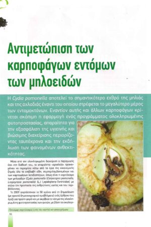 georgia&anaptykshpr2016