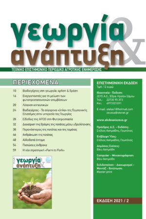 Georgia&Anaptyksh2-2021per