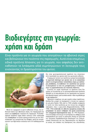 Georgia&Anaptyksh2-2021pr